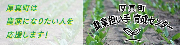http://www.town.atsuma.lg.jp/ninaite/