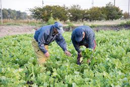 あつまの農業経営者育成プロジェクト