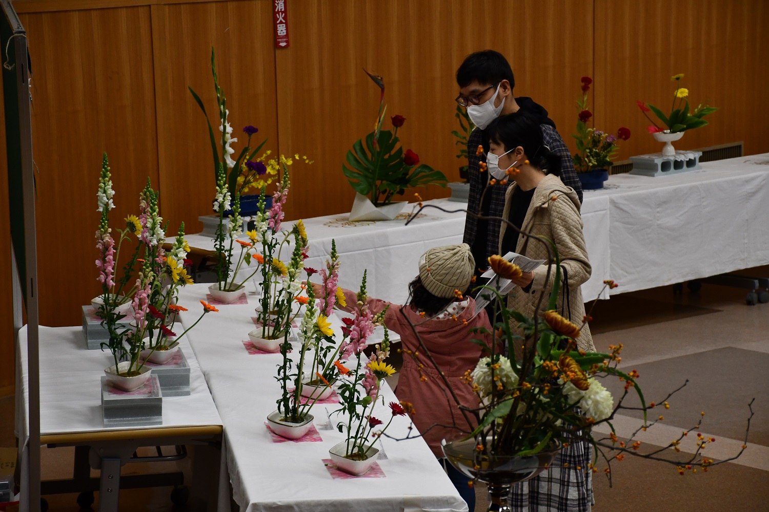 ここに代替テキスト