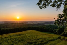 豊かな自然を守るための事業