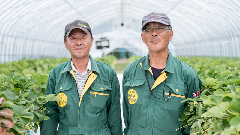 経験豊富なアドバイザーの画像