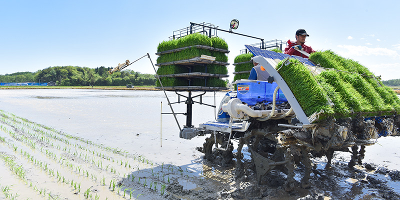 地元農家での研修の画像