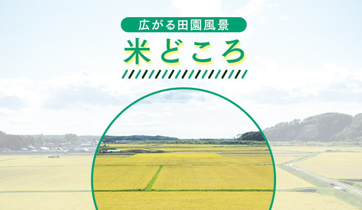 広がる田園風景米どころ