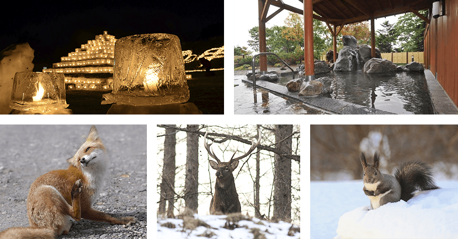 1年中楽しめるの画像