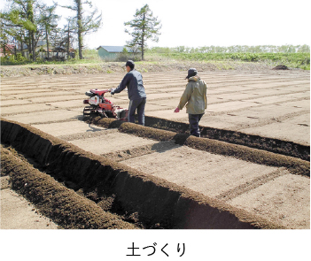 土づくり