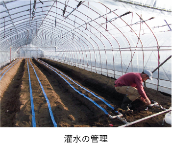 灌水の管理