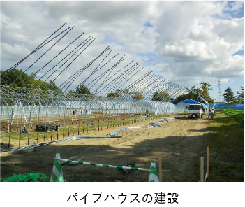 パイプハウスの建設