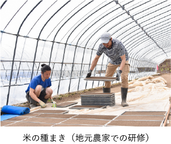 米の種まき（地元農家での研修）
