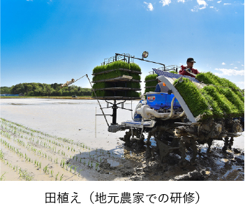 田植え（地元農家での研修）