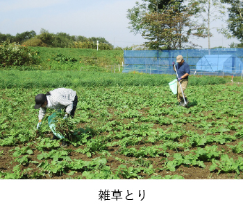 雑草とり